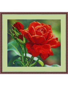 Набор для вышивания бисером Красная роза 30х27 см арт Л312 Galla collection