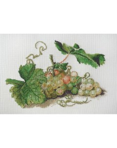 Набор для вышивания 06 001 18 Ветка винограда по рисунку Ф Толстого Марья искусница
