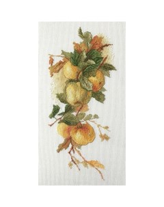 Набор для вышивания 06 002 43 Аромат яблок по рисунку К Кляйн Марья искусница