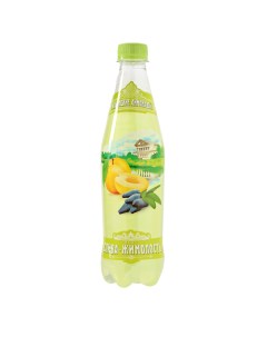 Напиток газированный со вкусом сливы и жимолости 480 мл Ильинские лимонады