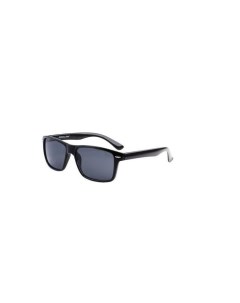 Солнцезащитные очки BRIGGS BLACK SMOKE 16426925582 Tropical