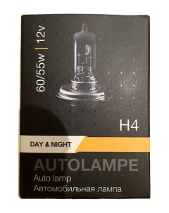 Лампа H4 12V 60 55W Day Night Carberry