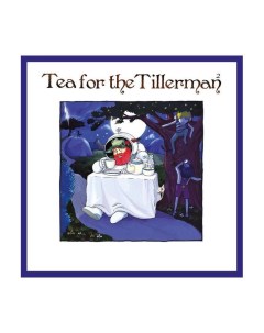 Виниловая пластинка Cat Stevens Tea For The Tillerman 2 0602508886959 Universal music