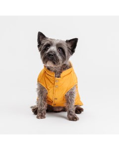 Куртка с ушками для собак XL желтая Petmax