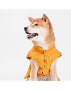 Куртка с ушками для собак 4XL желтая Petmax