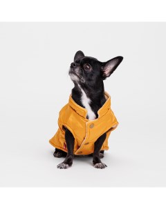 Куртка с ушками для собак M желтая Petmax