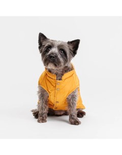 Куртка с ушками для собак L желтая Petmax