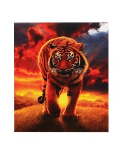 Картина по номерам Тигр на закате 20х30 см Kokos
