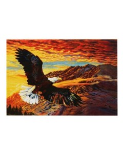 Картина по номерам Парящий орел 20х30 см Kokos