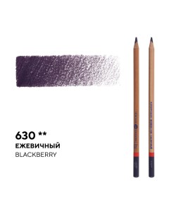 Карандаш профессиональный цветной Мастер класс 630 ежевичный Невская палитра