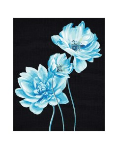 Картина по номерам на черном холсте Голубые цветы 40 50 см c акриловыми красками и кист Три совы