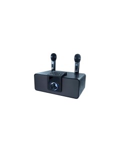 Портативная акустика SP 660B 30 Вт FM AUX USB microSD Bluetooth черный Ritmix