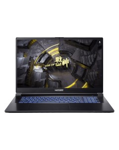 Ноутбук G8R9 17 3 IPS 2560x1440 Intel Core i9 13900H 2 6 ГГц 16Gb RAM 1Tb SSD NVIDIA GeForce RTX 406 Hasee