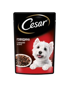 Влажный корм для собак с говядиной с овощами в соусе 85 г Cesar