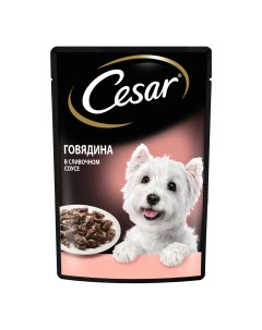 Влажный корм для собак с говядиной в сливочном соусе 85 г Cesar