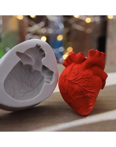 Силиконовая форма Анатомическое сердце 6 см 8 см Bombshape
