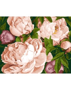 Картина по номерам на холсте 40х50 Букет розовых пионов KN0176 Delart