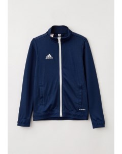 Олимпийка Adidas