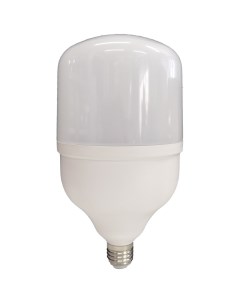 Лампа светодиодная Е40 6000К 40 Вт 3200 Лм 220 В цилиндр матовая Ecola