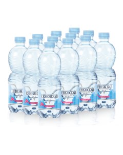 Вода природная питьевая газированная 0 5 л 12 штук в упаковке Сенежская