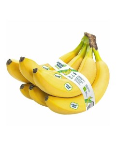 Бананы Organic Эквадор Зеленая линия