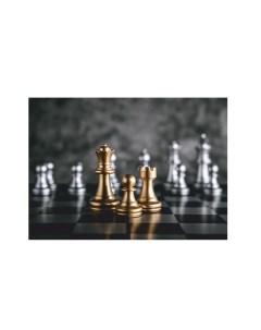 Картина на холсте для интерьера Шахматы 50х70 см Печатник