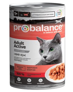 Влажный корм для кошек Active для активных 6 шт по 415 г Probalance