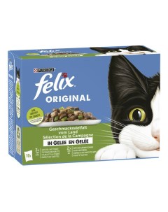 Влажный корм для кошек повседневный 10 шт по 85 г Felix