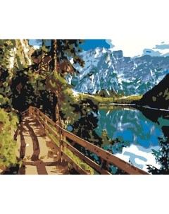 Картина по номерам Тропинка в горы 50х40 14 цветов Selfica