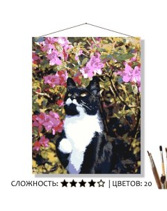 Картина по номерам Фрося кошка 50х40 20 цветов Selfica