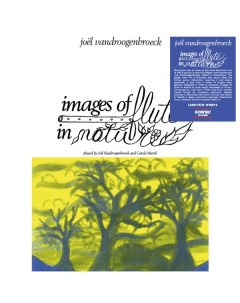 Электроника Joel Vandroogenbroeck Images Of Flute In Nature Black Vinyl LP Iao