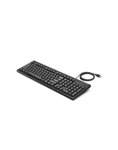 Проводная клавиатура 100 Black 2UN30AA Hp