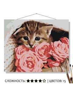 Картина по номерам Котик в розах 50х40 Selfica