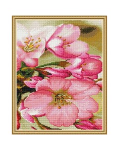 Алмазная мозаика с нанесенной рамкой Цветы яблони 33 цвета 40х50 см Molly