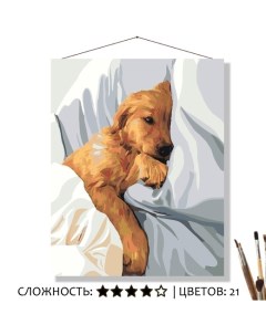Картина по номерам Собака в кроватке 50х40 Selfica