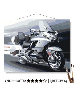 Картина по номерам Серебряный мотоцикл 50х40 Selfica