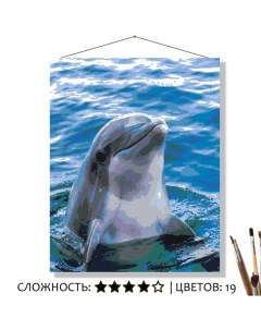 Картина по номерам Дельфин 50х40 Selfica