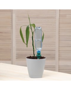 Комплект для капельного полива для домашних растений набор 2 шт под бутылку Greengo