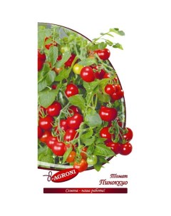 Семена томат Агрони Пиноккио 7071 1 уп