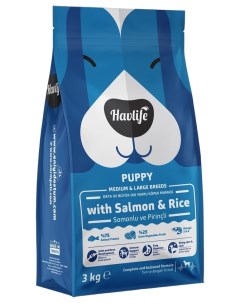 Сухой корм для собак для щенков средних и крупных пород с лососем и рисом 3 кг Havlife