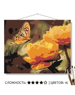 Картина по номерам На цветочке бабочка 50х40 Selfica