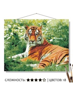 Картина по номерам Отдыхающий тигр 50х40 Selfica