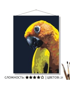 Картина по номерам Жёлто зелёный попугайчик 50х40 Selfica