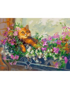 Картина по номерам на холсте Любимый кот на отдыхе 40х30 см Белоснежка