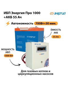 Источник бесперебойного питания ИБП Про 1000 Аккумулятор N0201 0029 08 Энергия