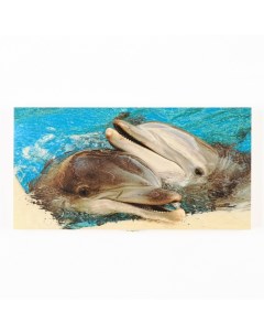 Нарды Дельфины деревянная доска 48 х 48 см фишка d 2 5 см Take it easy