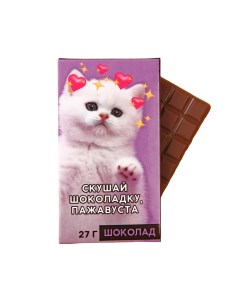 Шоколад молочный Скушай шоколадку 27 г Фабрика счастья