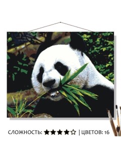 Картина по номерам Веточка бамбука Панда 50х40 Selfica