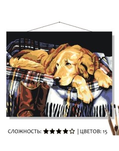 Картина по номерам Домашний уют с собакой 50х40 Selfica