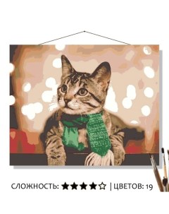 Картина по номерам Зелёный шарфик котика 50х40 Selfica